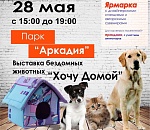 Сегодня в Астрахани пройдет выставка бездомных животных