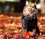 В Астрахани на завтра предсказывают тепло выше +10°