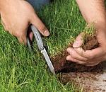 У астраханских парков и скверов будет сложно отрезать кусок и построить на нем свой бизнес