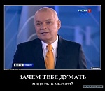 Неожиданно: 80% россиян поддерживают пенсионную реформу