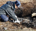 На юге Астраханской области Россельхознадзор обнаружил вместо сельхозугодий «универсальную» свалку