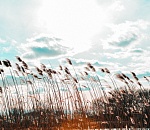 Погода в Астрахани портится