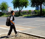 На астраханских дорогах появляются макеты пешеходов 