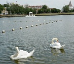 Мэрия Астрахани на деньги нефтяников проведет реконструкцию территории у Лебединого озера