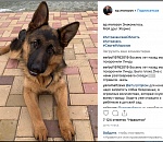 Сергей Морозов показал астраханцам своего друга Жорика