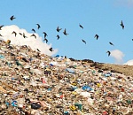 На астраханской свалке обнаружили нелегалов