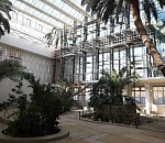 ФНС России требует признать банкротом фирму, ремонтирующую «Октябрь» в Астрахани