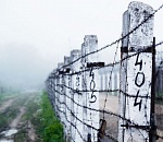 Астраханец, убивший родного брата металлической трубой, получил 10 лет тюрьмы