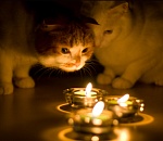 Сегодня, 15 августа, 3 района Астрахани останутся без света