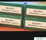 Бюджет? Революция!