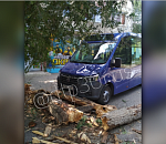 В Астрахани на новую синюю газель рухнуло дерево 