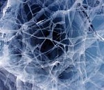 Толщина льда на астраханских водоемах достигла двух сантиметров