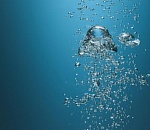 Мертвого камызякца извлекли из астраханского ерика