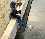 В центре Астрахани смелые парни провели операцию по спасению голубя