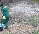 Астраханец заплатит за вред экологии более 2 миллионов рублей