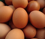 Из Астраханской области не выпустили за границу яйца и шашлык