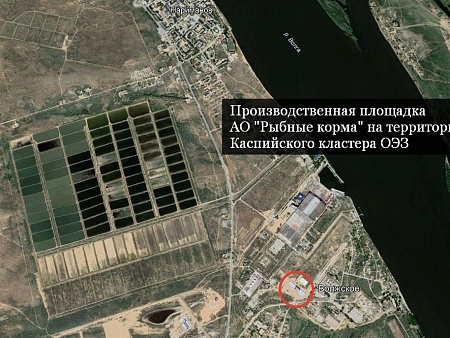 Астраханский завод "Рыбные корма" начнет работу уже весной