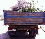 Под Астраханью мусоровоз сбил пенсионерку