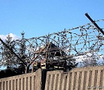 Астраханец, убивший главу крестьянско-фермерского хозяйства, отправился на 12 лет в тюрьму