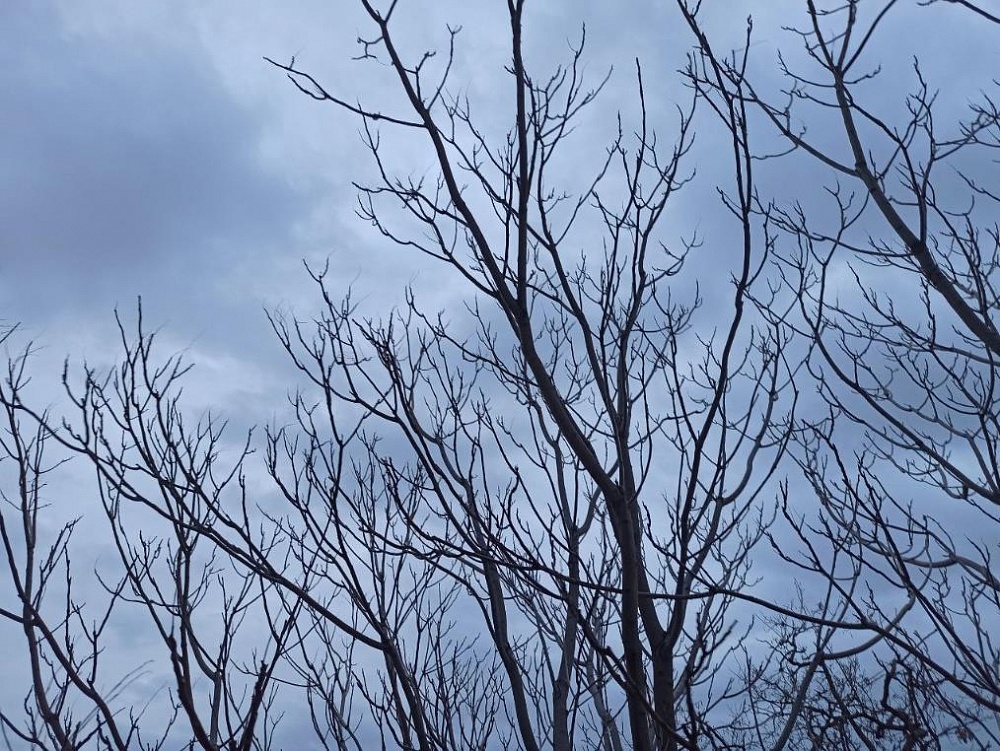 В Астрахань возвращается тепло. Но с ветром