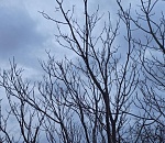 В Астрахань возвращается тепло. Но с ветром