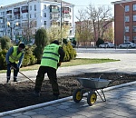 Несмотря на коронавирус, цветы в Астрахани посадят