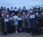 Астраханские активисты записали видеообращение о массовых потравах собак