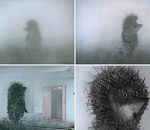 Завтра в Астрахани жара сменится туманом