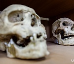 В Астраханской области нашли черепа чернокожих рабынь