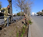 Более двух тысяч кустарников высадили на астраханской улице