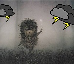 Завтра Астрахань окажется во власти непогоды