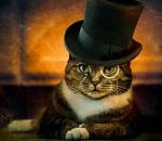 Синоптики предвещают астраханцам пердимонокль