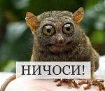 Удивительно, но факт: астраханские предприятия одни из успешных в ЮФО