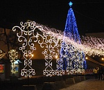 Самая большая новогодняя елка Астрахани будет состоять из 600 живых елок