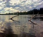 Тело утонувшей девочки нашли в Астрахани через год