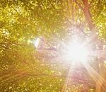 Сварог сжалился над астраханцами: какая погода ждёт нас завтра