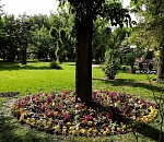 Фото дня: на месте памятника-пальцев в Братском саду разбили клумбу