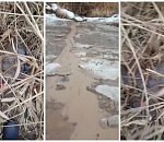 Знаменская ливневка загаживает село и реку