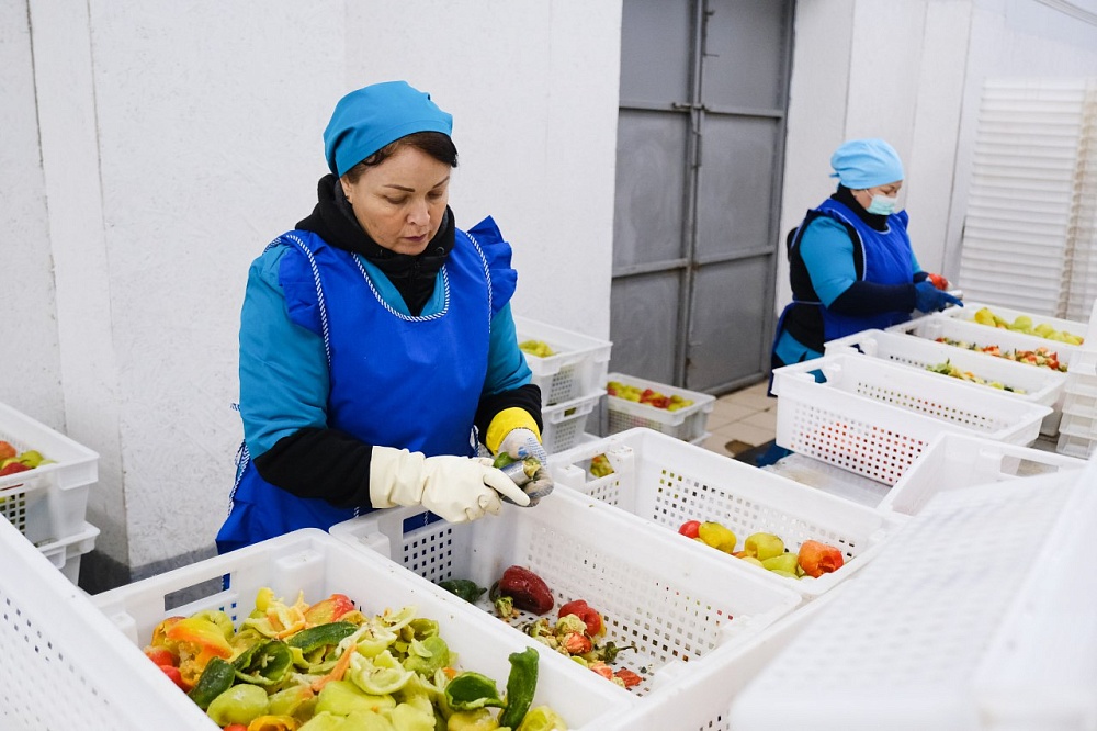 Астраханский завод поставляет замороженные овощи по всей России