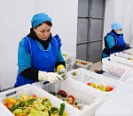 Астраханский завод поставляет замороженные овощи по всей России