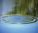 Астраханец утонул, запутавшись в водорослях