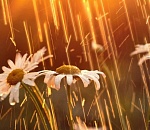 Завтра в Астрахани будет очень душно