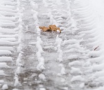 Гололед и снежные заносы ожидаются на астраханских дорогах