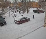 Астраханские следователи занимаются сообщением о нападении дворняг на детей