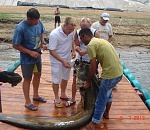 Под Астраханью рыбаки поймали 100-килограммового сома