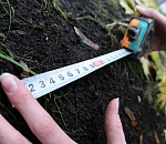 Осужден еще один глава астраханского сельсовета