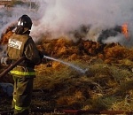 В астраханской дельте сгорели 400 фермерских рулонов сена