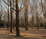  Ночью -7°, а днем +8°: понедельник в Астрахани будет неоднозначным