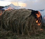 В селе на севере Астраханской области сгорело сено в рулонах