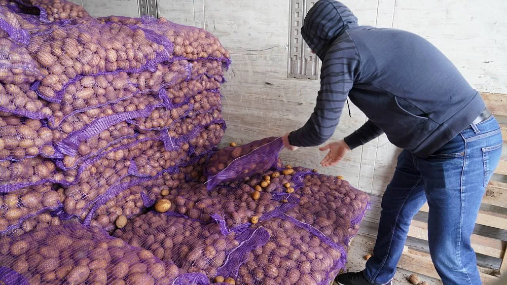 Семенной картофель из Астрахани привезли в пострадавшие районы Дагестана